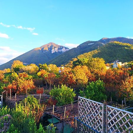 Casa Fifina Rooms Sant’Egidio del Monte Albino Kültér fotó
